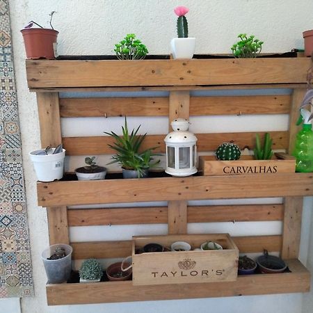 Santa Catarina Patio Apartment - With Washer Machine Porto Ngoại thất bức ảnh