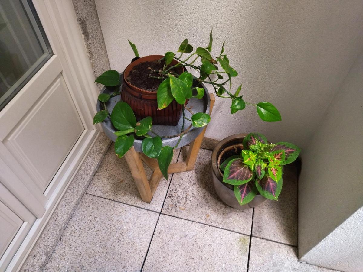 Santa Catarina Patio Apartment - With Washer Machine Porto Ngoại thất bức ảnh